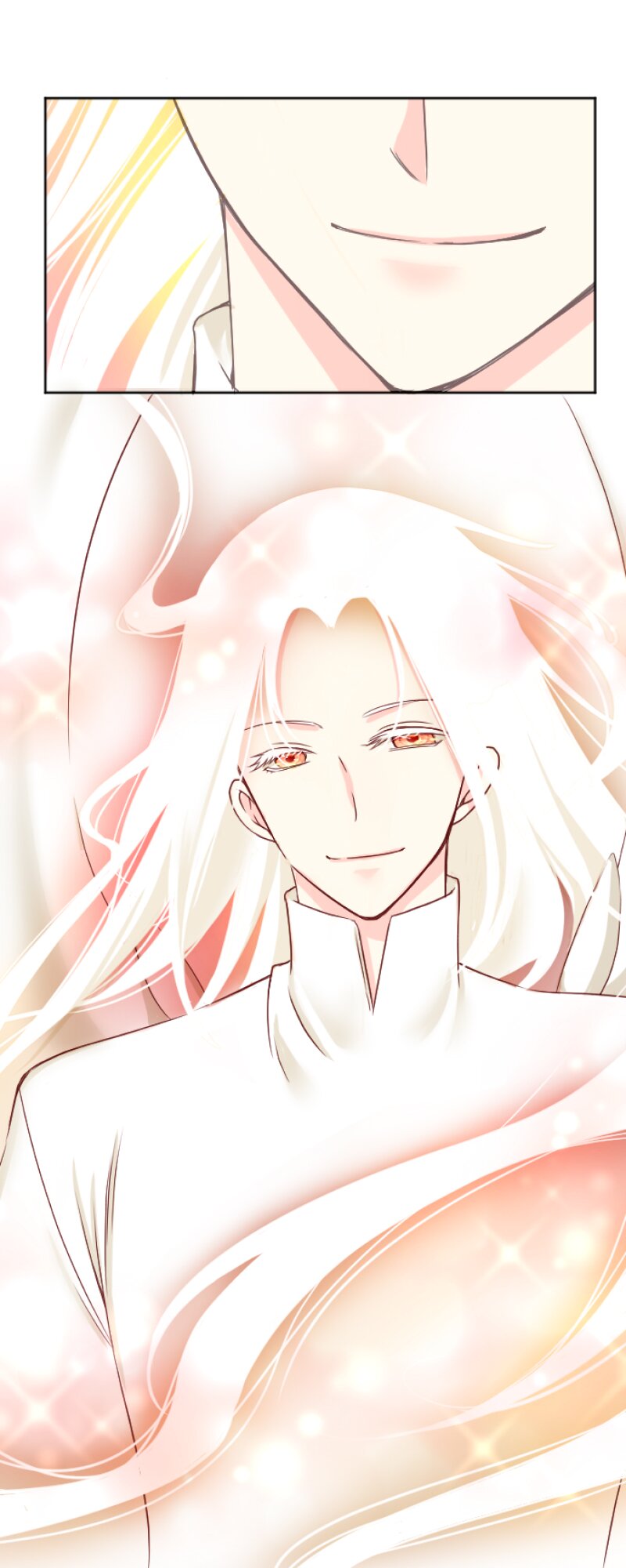 55536570 800 2000 135050